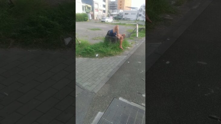 2023年 死んでる⁉️宮古島によくある風景。