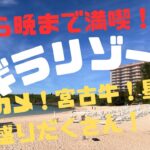 2023年 【沖縄】【宮古島】満喫！シギラリゾート！！〜ウミガメ！宮古牛！星空！盛りだくさん！〜