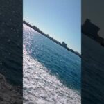 2023年 【宮古島ボートダイビング】太陽の光を反射して海が光り輝く癒しの瞬間 #旅行#スクーバダイビング#ボートダイビング#自然#海#ありがとう