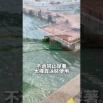 2023年 宮古島池間漁港，八重干瀨集合點