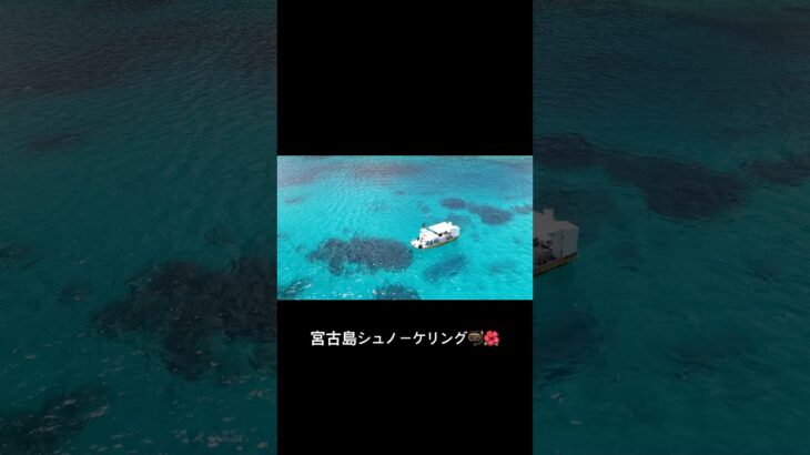 2023年 宮古島旅行で人生初のシュノーケリング🤿🌺ウミガメもいたよ！！ #宮古島 #宮古島旅行 #シュノーケリング #宮古島観光