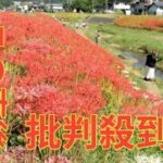 源氏川に秋きたる　赤や白のヒガンバナ　茨城・常陸太田