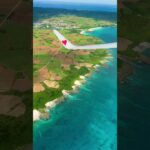 2023年 【沖縄】宮古島からのフライト✈️