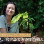 2023年 柴咲コウ、宮古島でカカオ苗植えに挑戦！【サステナビューティープロジェクト】