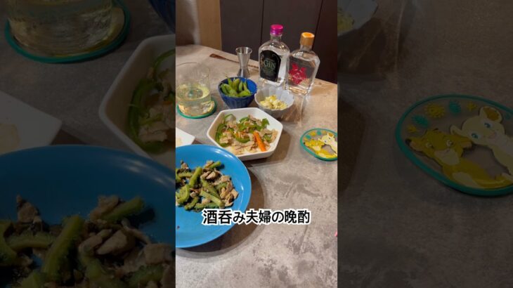 2023年 宮古島で購入したお酒！#酒呑み夫婦の晩酌#夫婦で晩酌日記#酒呑み#酒#アテ#つまみ#料理#宮古島#ジン#ラム#youtube切り抜き