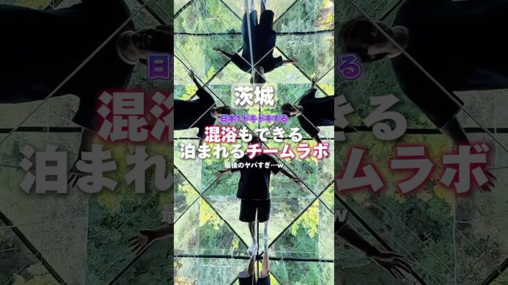 【茨城】日本1ドキドキする混浴もできる泊まれるチームラボ#茨城