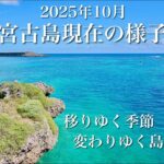 2023年 【最強の季節】10月の宮古島が美しすぎる…現地より最新情報