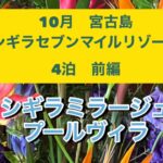 2023年 10月初旬宮古島　シギラビーチ　シュノーケル初心者でも気楽に海亀と泳げちゃう