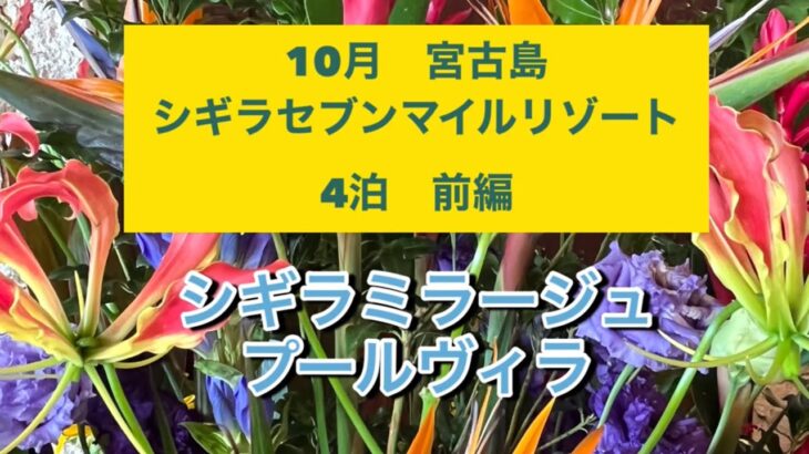 2023年 10月初旬宮古島　シギラビーチ　シュノーケル初心者でも気楽に海亀と泳げちゃう