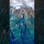 2023年 宮古島ってどんなところ？東平安名崎1　2025/10/17