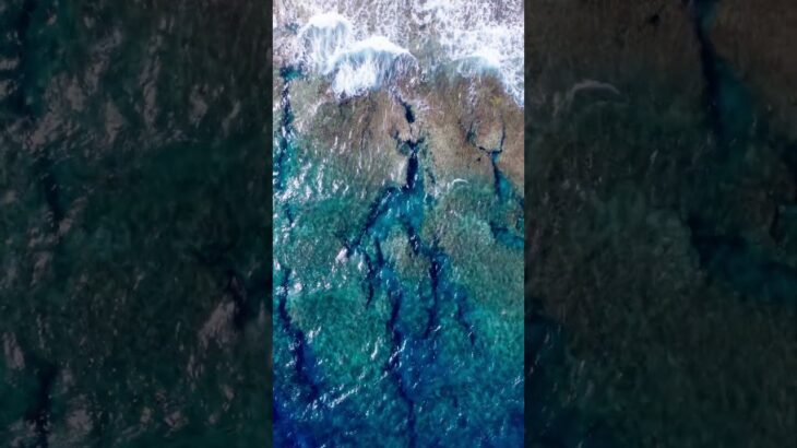 2023年 宮古島ってどんなところ?東平安名崎1 2025/10/17