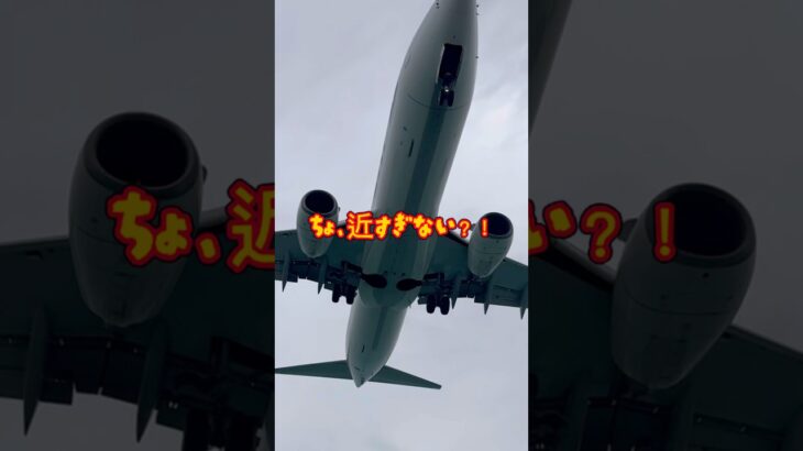2023年 沖縄・宮古島の17ENDで見た飛行機、近すぎてびっくり！大迫力で感動！モンテドールのバナナケーキもジュースもおいしかった！お土産にもオススメ！#shorts #宮古島 #宮古島旅行