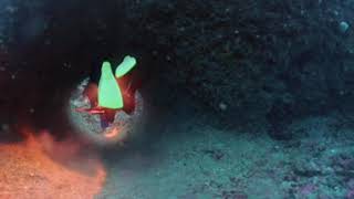 2023年 宮古島　2本目　アントニオガウディ