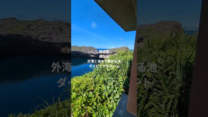 2023年 2024年6月 宮古島 通り池 陸から観光