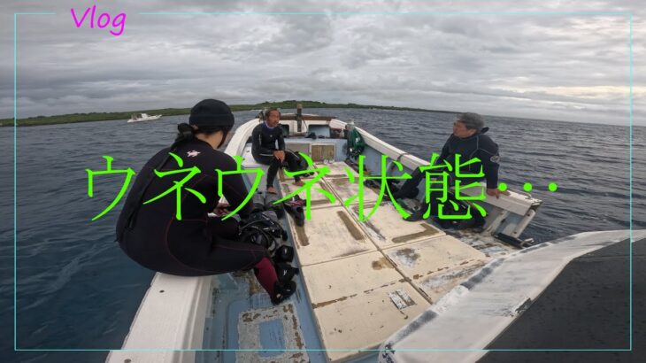 2023年 【 ウネウネ状態… 】 2025  10  20