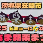 【笠間市】かさま新栗まつり2025