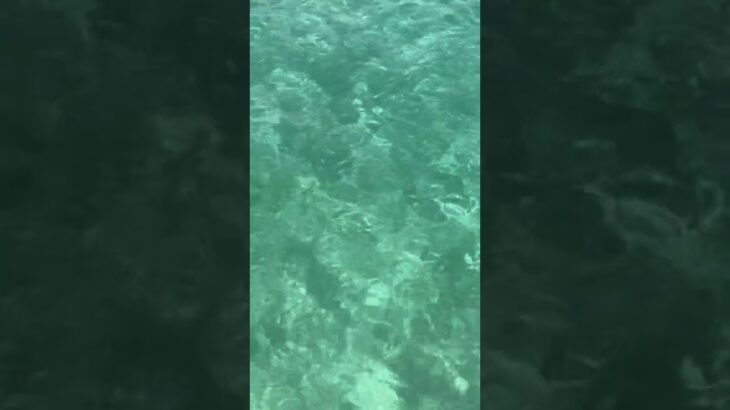 2023年 2025 来間島🏝️✨ #2025 #宮古島 #来間島 #パチャビーチ