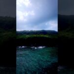 2023年 宮古島ってどんなところ？シンビジ〜白鳥岬20251012