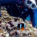 2023年 2025/10/15宮古島　きれいすぎる宮古島の海で体験ダイビング。　これははまるでしょ！　まーちゃん＆みーちゃんのダイビングもおもしろい！　群馬県伊勢崎市のダイビングショップ