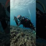 2023年 宮古島ツアー2025年10月23日〜