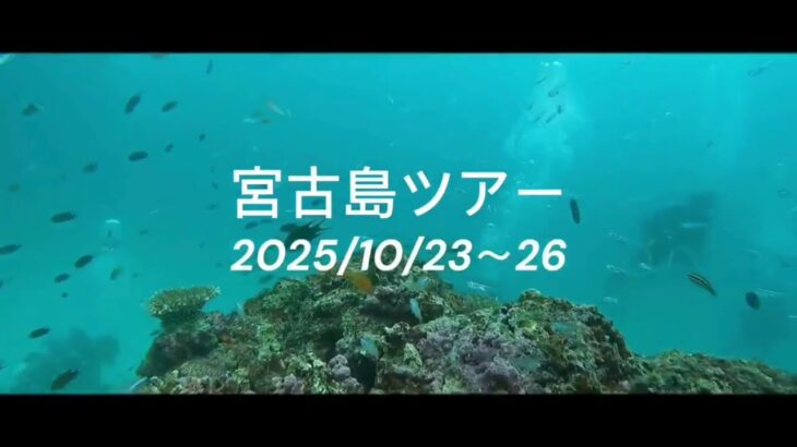 2023年 【宮古島ツアー🏝️2025/10/23〜26】伊豆っこダイビング