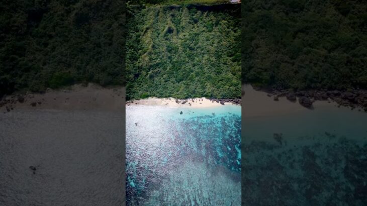 2023年 宮古島ってどんなところ？比嘉ロードパーク20251025 2