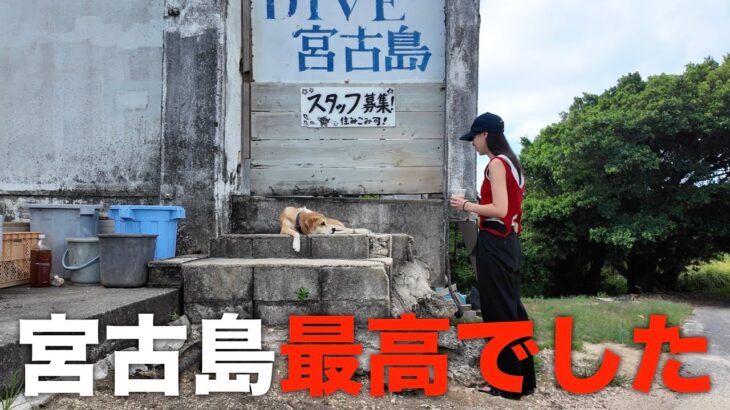 2023年 【2泊3日宮古島】絶景も海もグルメも！全部が最高でした