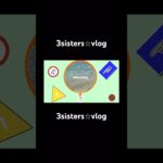 2023年 『3sisters⭐︎vlog』#vlog #3sisters #猫 #宮古島