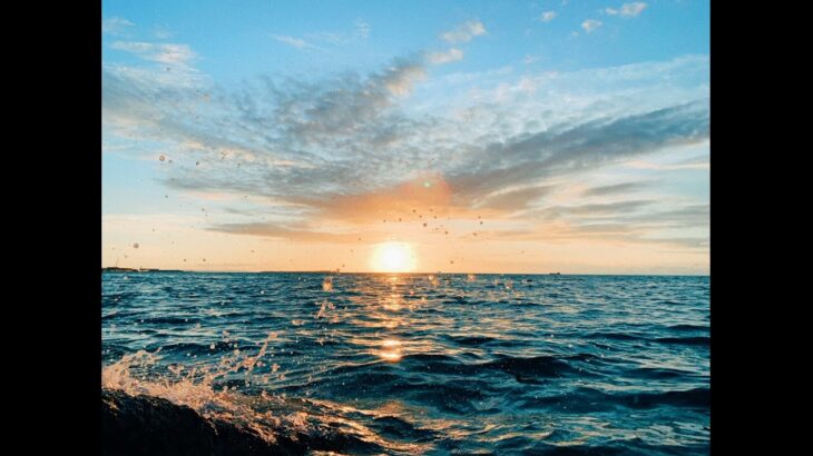 2023年 41 宮古島市西里 うみ