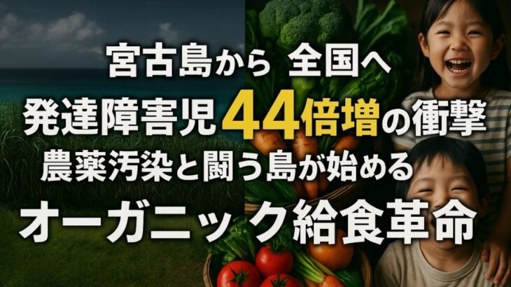 2023年 【宮古島から全国へ】発達障害児44倍の衝撃、オーガニック給食は可能なのか？調べてみた