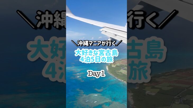 2023年 ＼沖縄マニアが行く／大好きな宮古島4泊5日の旅Day1#shorts#宮古島#沖縄