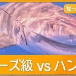 2023年 沖縄・宮古島5m巨大人食いザメ　ジョーズ級vsハンター死闘　漁業＆観光業に深刻影響【知ってもっと】【グッド！モーニング】(2025年10月8日)