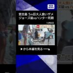 2023年 【ニュース】沖縄・宮古島5m巨大人食いザメ　ジョーズ級vsハンター死闘　漁業＆観光業に深刻影響#shorts