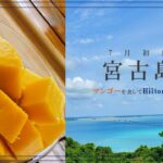 2023年 【夫婦旅】7月の宮古島 ～後編～ マンゴーとヒルトン宮古島を満喫