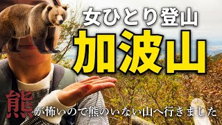 【茨城・加波山】熊のいないおすすめの山域！700の神々が祀られる信仰の日本百低山へ女ひとり登山。【女子登山】