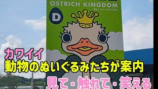 【ダチョウ王国/茨城】都心から90分！必見！！王国のゆかいな仲間たちとふれあえます！