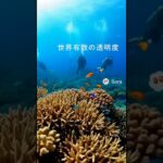 2023年 沖縄旅行　宮古島#AI観光 #沖縄観光 #沖縄旅行 #宮古島 #漁港 #朝市 #島の暮らし #まち歩き #10秒観光