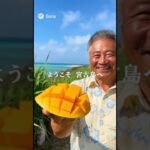 2023年 宮古島の人々の温かさは日本一#AI観光 #沖縄観光 #沖縄旅行 #宮古島 #漁港 #朝市 #島の暮らし #まち歩き #10秒観光