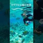 2023年 沖縄旅行 伊良部島#AI観光 #沖縄観光 #沖縄旅行 #宮古島 #伊良部島 #伊良部大橋 #砂田の浜 #通り池 #下地島 #10秒観光