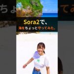 2023年 【生成AI Sora2】宮古島ビーチクリーン活動の仕方 | 1000年先の未来へ – エコアイランド宮古島宣言2.0