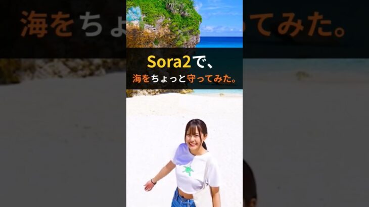 2023年 【生成AI Sora2】宮古島ビーチクリーン活動の仕方 | 1000年先の未来へ – エコアイランド宮古島宣言2.0