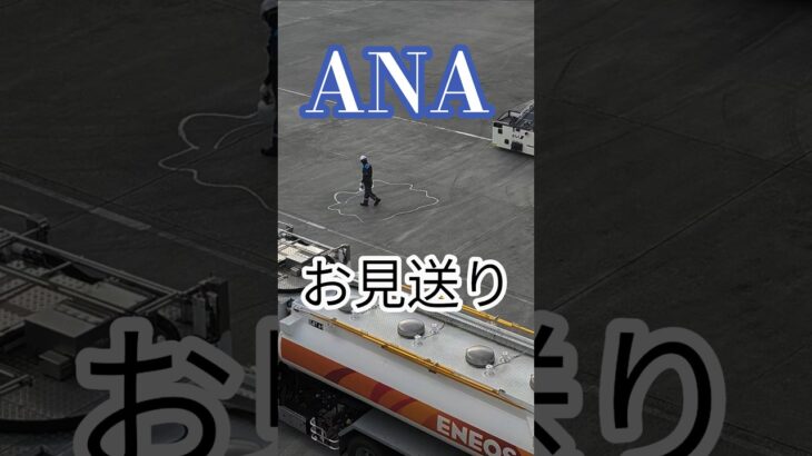 2023年 【お見送り】ANA　宮古島　#宮古島 #ana #お見送り #shorts
