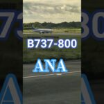 2023年 【宮古島】ANAのB737　#ana #宮古島 #b737 #shorts