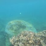 2023年 GH010069　2025.10.17　宮古島　中の島海岸