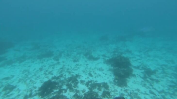 2023年 GH010076 2025.10.27 宮古島わいわいビーチ