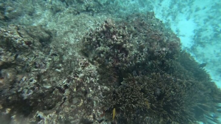 2023年 GH010079 2025.10.27 宮古島わいわいビーチ