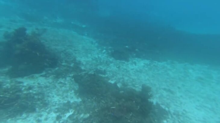 2023年 GH010084 2025.10.27 宮古島わいわいビーチ