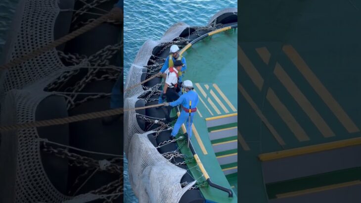 2023年 宮古島引水人 Harbour Piliot