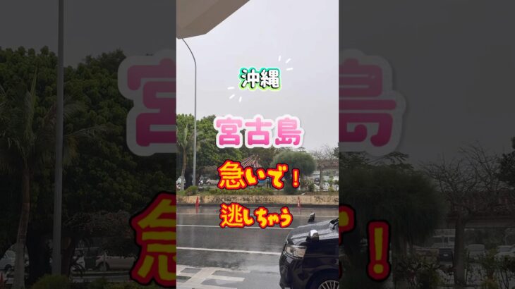 2023年 宮古島で食べたい一皿。こだわりのレシピで作る「Harry’s ガーリックシュリンプ」めちゃくちゃ美味しかった！チェックしていってみて。#shorts #宮古島 #宮古島グルメ