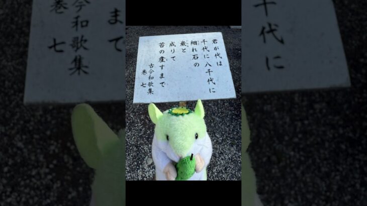 KAPPA&Me #茨城 #大洗 #はむかっぱ